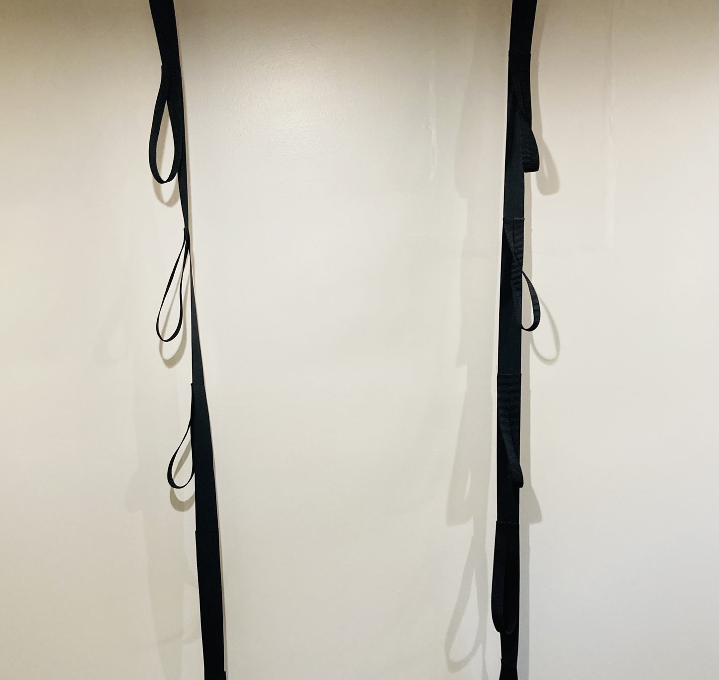 Ski Rack